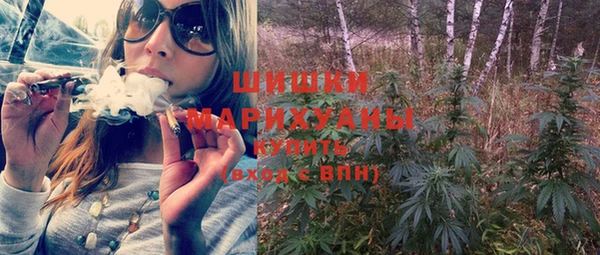 PSILOCYBIN Корсаков