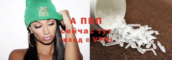 шишки Карпинск