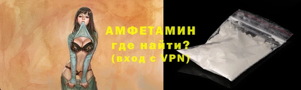 шишки Карпинск