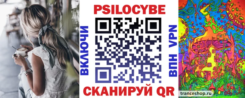 Псилоцибиновые грибы Psilocybe  Купить где  Дмитров 